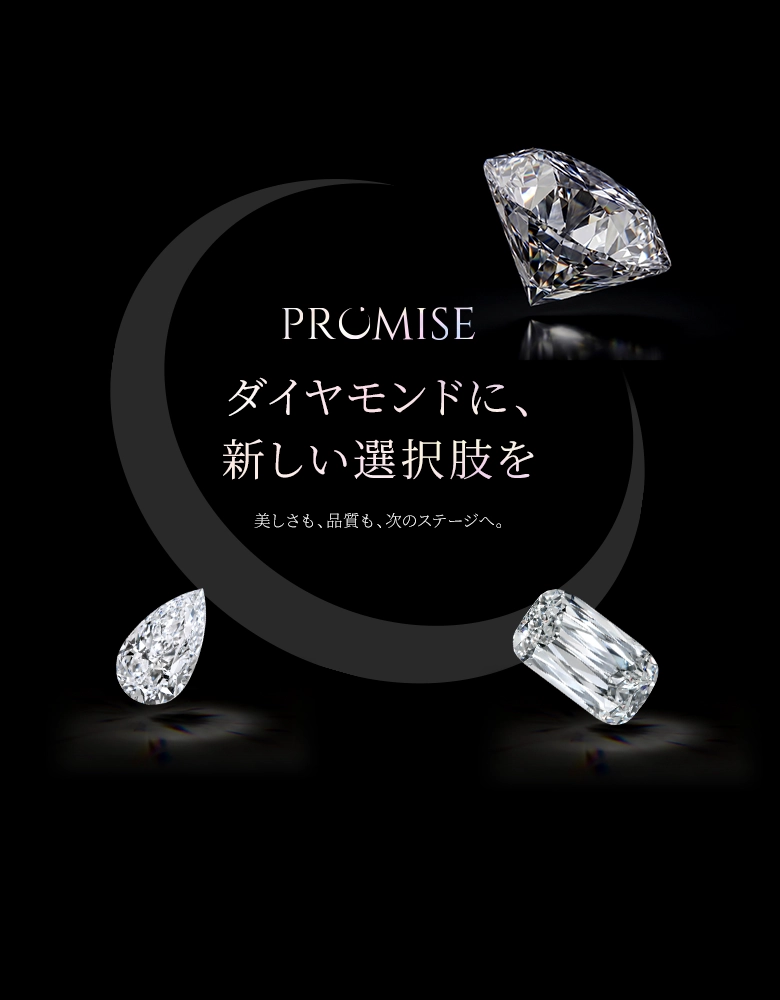 PROMISE